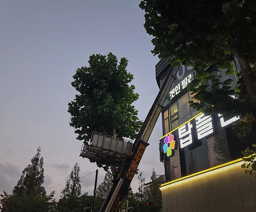 폐기물처리 현장 사진 10